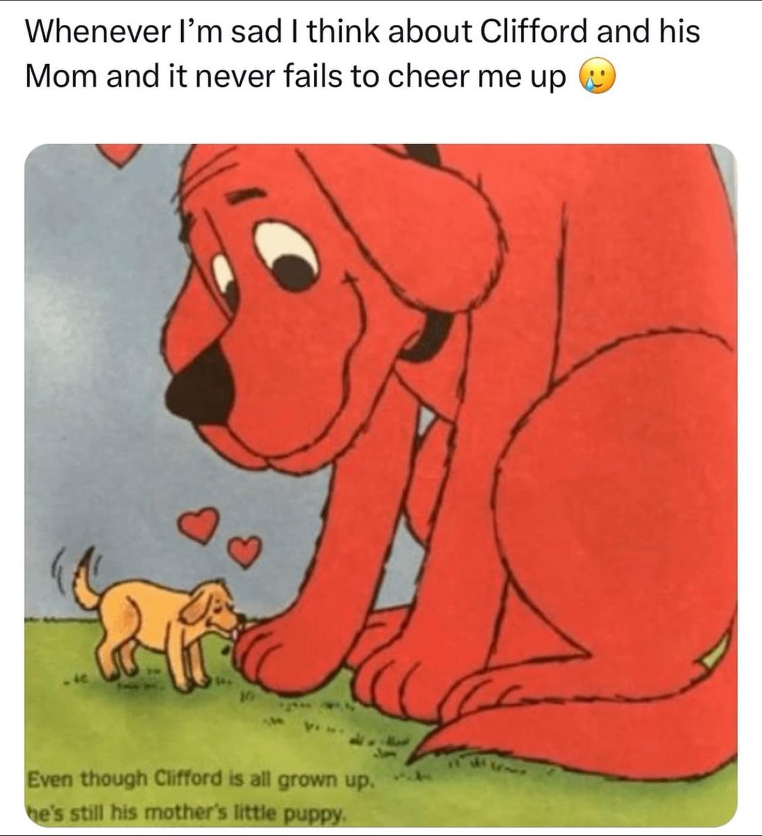 RespectfulMemes's tweet photo. https://t.co/ppQeC4yIio