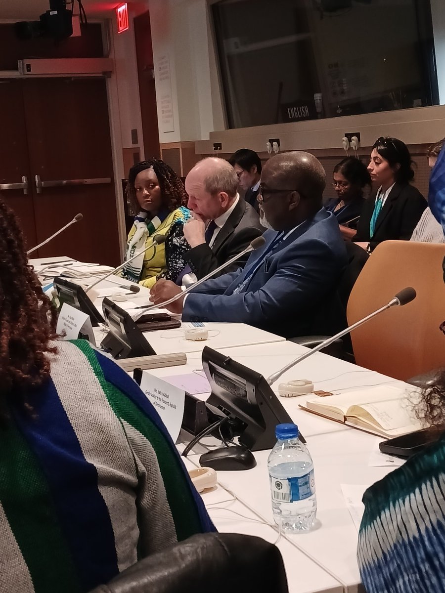 "It is not just a right thing to do, but it's sensible and economically prudent to empower women at every sector" H E Amb. Fergal Mythem, Permanent Rep of Ireland to the UN.