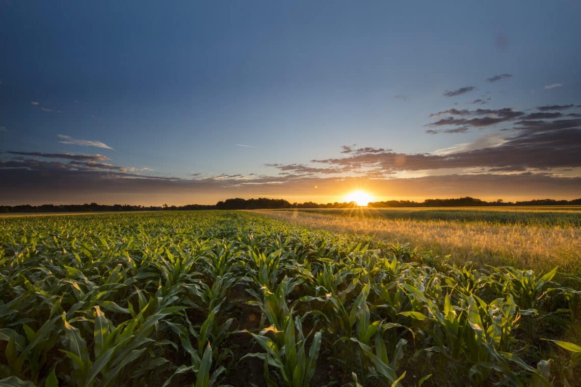 SeedWorld_US's tweet photo. U.S. farm output has tripled since 1948 according to @USDA ERS. Learn more about the gains of U.S. agriculture: https://t.co/BQqNwtoXbl https://t.co/CJI7wH0ZZ0