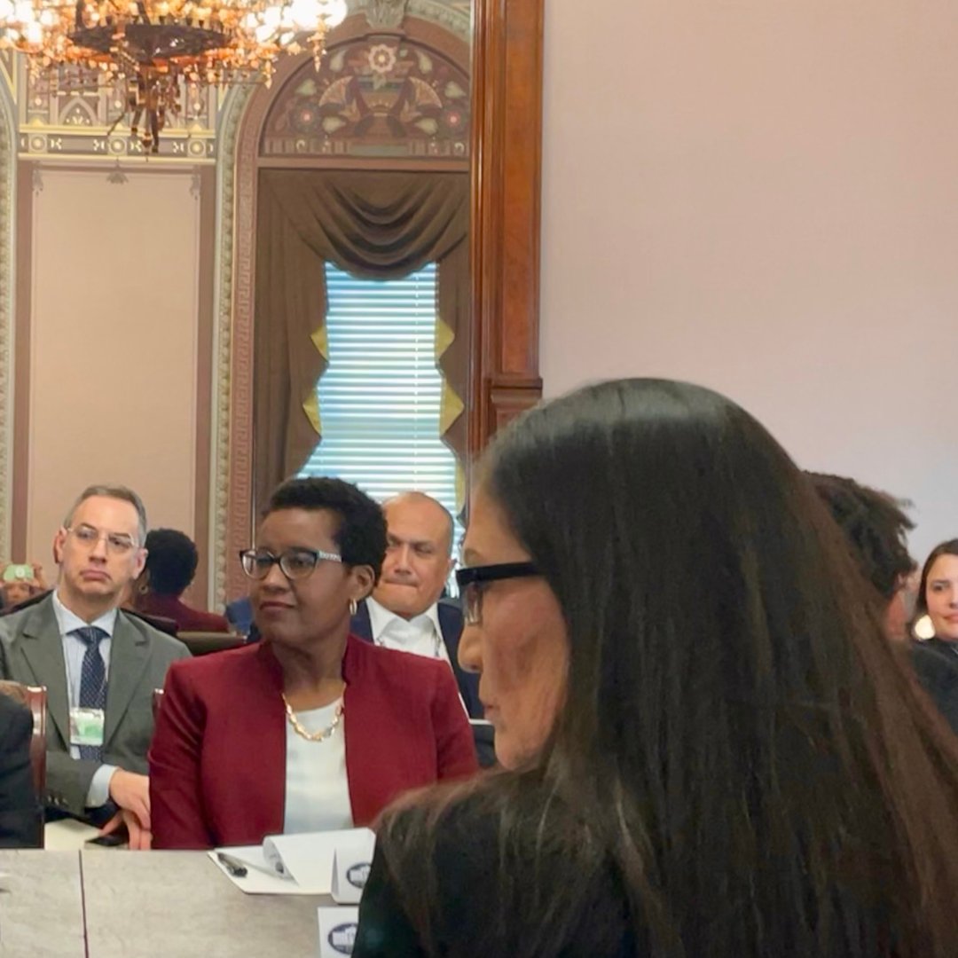SkollFoundation's tweet image. ICYMI, our president @Marla_Blow  joined a conversation at the @WhiteHouse with @Interior officials &amp;amp; leaders from financial, philanthropic, &amp;amp; nonprofit orgs to launch plans for development &amp;amp; investment in Tribal communities nationwide. Read more: ➡️skoll.wf/3V37RQB