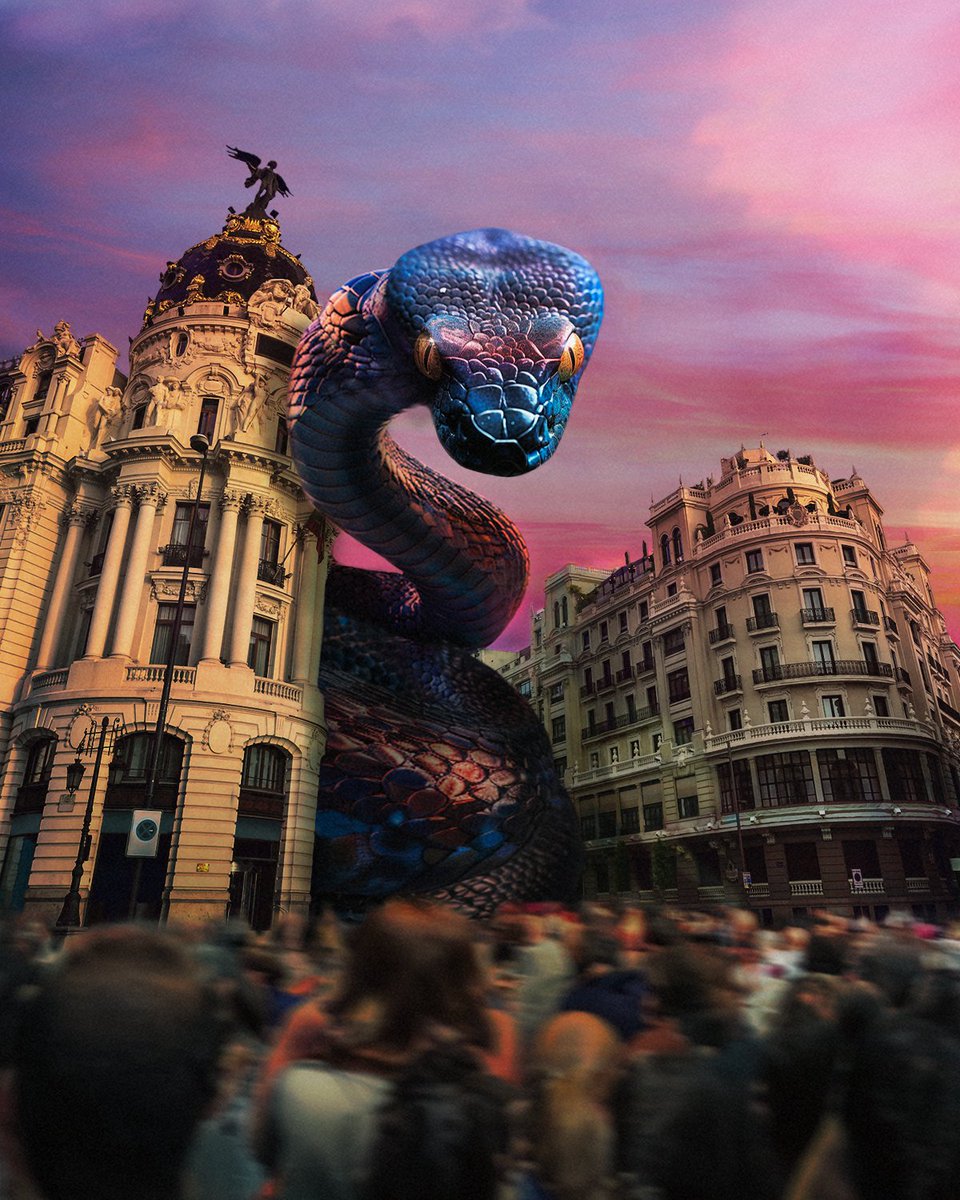 Inter ⭐⭐ tweet media