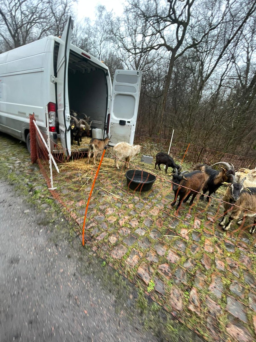 nacekorosec's tweet photo. Arenberg forest getting ready 🙃 #Roubaix https://t.co/0Z081kmDyS