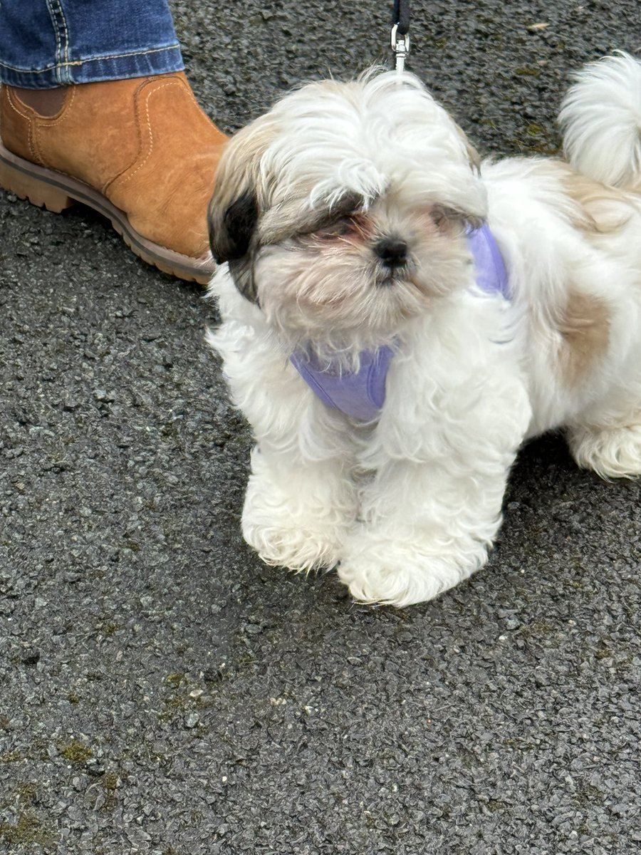 Kodi_PUNC22 tweet media