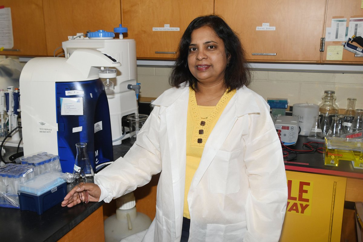 Dr. Kalpalatha Melmaiee, Associate Professor of Agricultural and Natural Resources, is among several women scientists celebrated by the Feed the Future Climate Resilient Cereals Innovation Lab as part of the March 8 International Women’s Day. ow.ly/vLbM50QQCAO