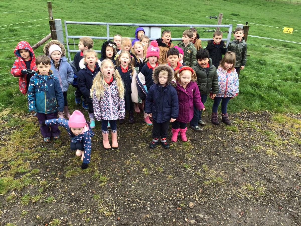 Class2elves's tweet photo. What a fabulous bunch to take to the farm! 🐴🐑🐄🐷 https://t.co/8Y5S9ozYVo