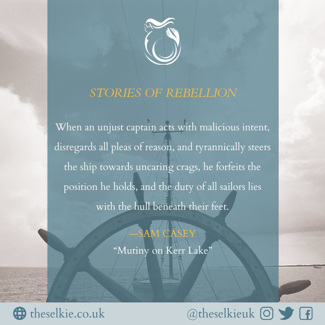 The Selkie tweet media