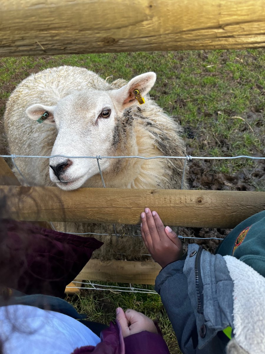 @earlyyearsWLP tweet media