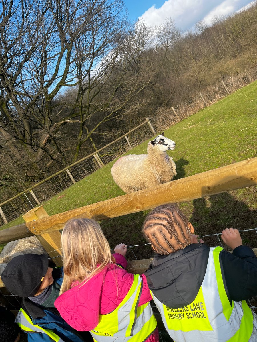 @earlyyearsWLP tweet media