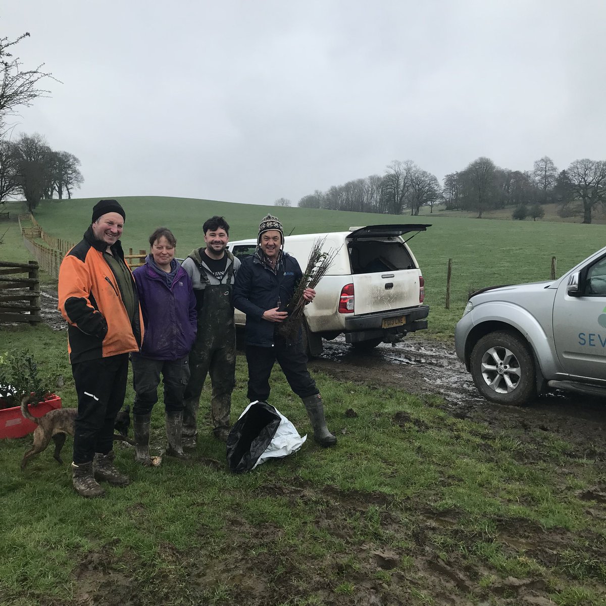 Guilsfield farm Tirnewydd is to have a new hedge planted on its edges. The young trees will shelter stock and wildlife alike. Their roots will take the rainwater down into the soil slowing the rainwater’s overland flow <a href="/severnrivers/">Severn Rivers Trust</a> <a href="/EnvAgencyMids/">Environment Agency Midlands</a> #hedgesandedges #slowtheflow