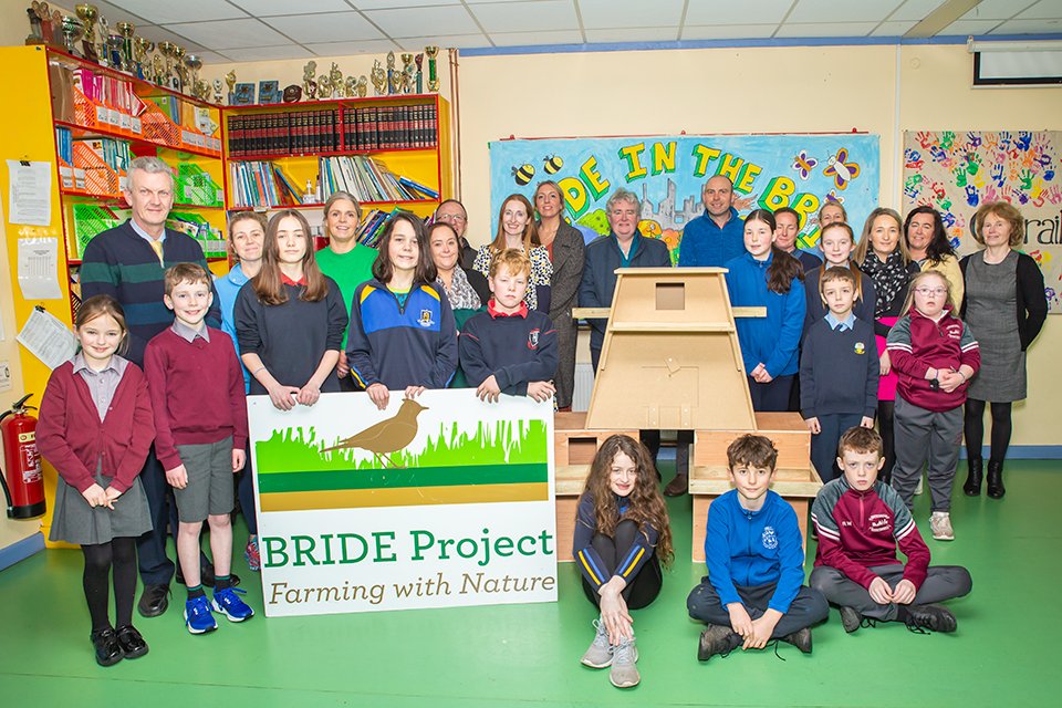 We are delighted to gift a Barn Owl nestbox to each of the 11 national schools in the Bride valley as a parting legacy & to help raise awareness. In association with @BirdWatchIE they will be erected in a suitable location near each school. Incl. are teachers, pupils and parents