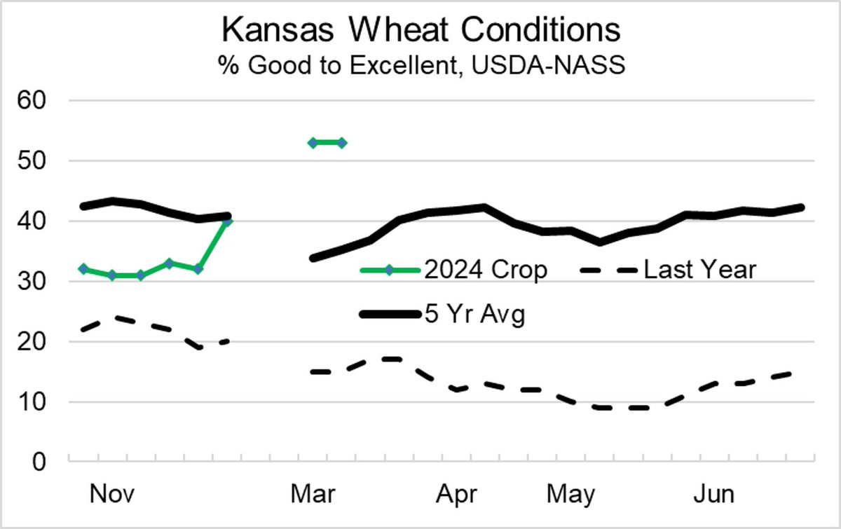 At 53% good to excellent for the 2nd week in a row, the 2024 Kansas #Wheat crop is off to one of it's better starts in recent years! But with these temps, precipitation is always appreciated. @KSFarmBureau