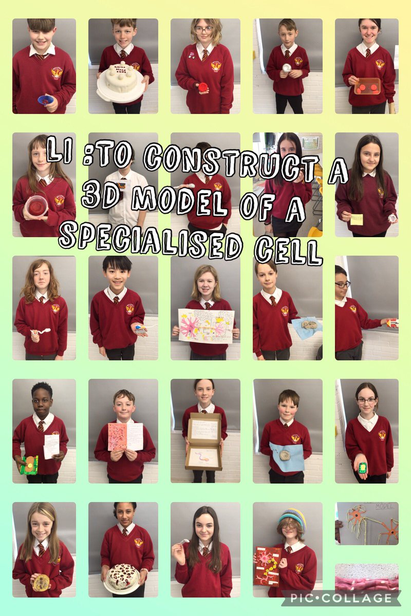 WellfieldMiddle's tweet photo. Y7 have excelled themselves by creating some fantastic 3D model specialised cells at home  #specialisedcells #homelearning  #WMSScience  #3Dmodel https://t.co/t2os8nYUqG