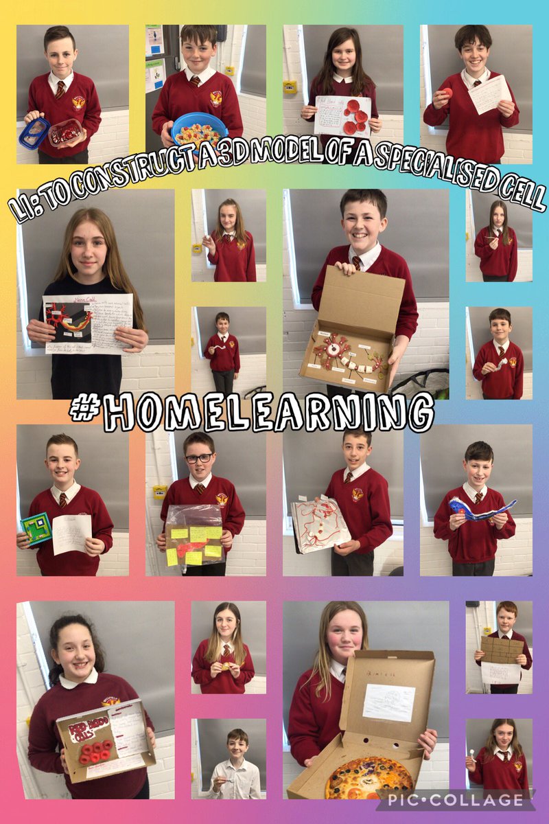 WellfieldMiddle's tweet photo. Y7 have excelled themselves by creating some fantastic 3D model specialised cells at home  #specialisedcells #homelearning  #WMSScience  #3Dmodel https://t.co/t2os8nYUqG