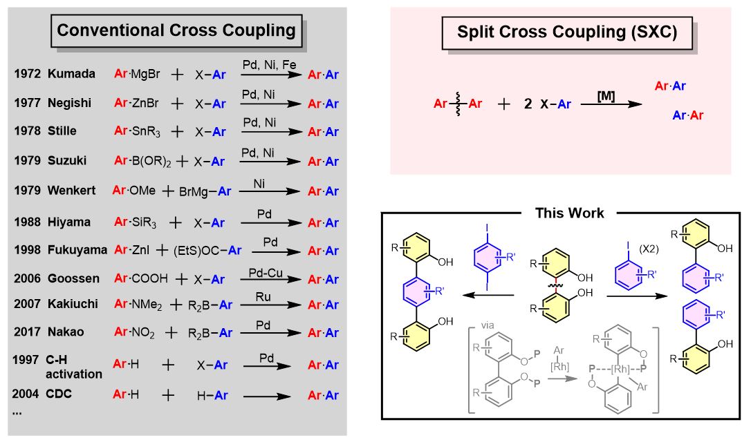A new realm in cross-coupling has just unfolded: Led by Congjun @CongjunY and Zining, we demonstrate a 'Split-Cross-Coupling' (SXC) on @NatureCatalysis . nature.com/articles/s4192…