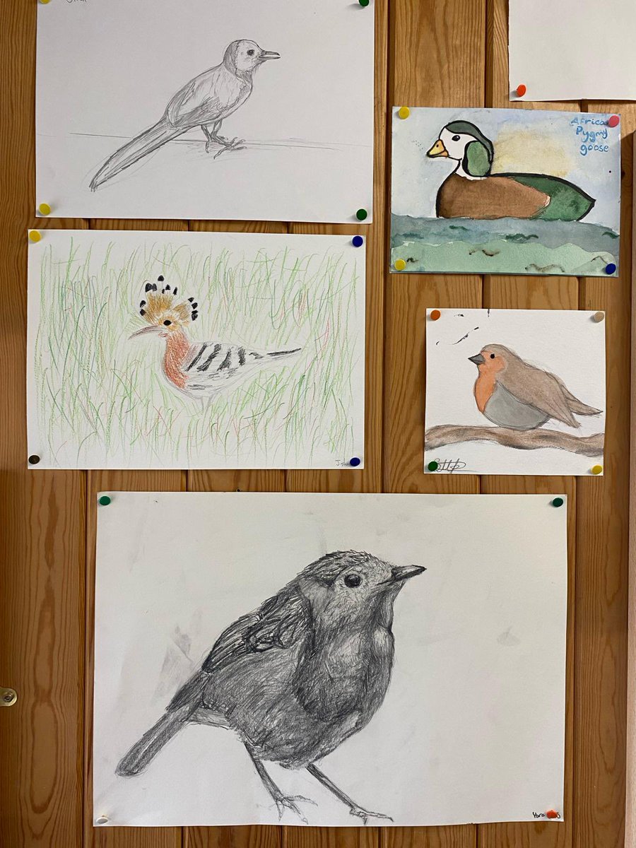 Bedales Prep ODW tweet media