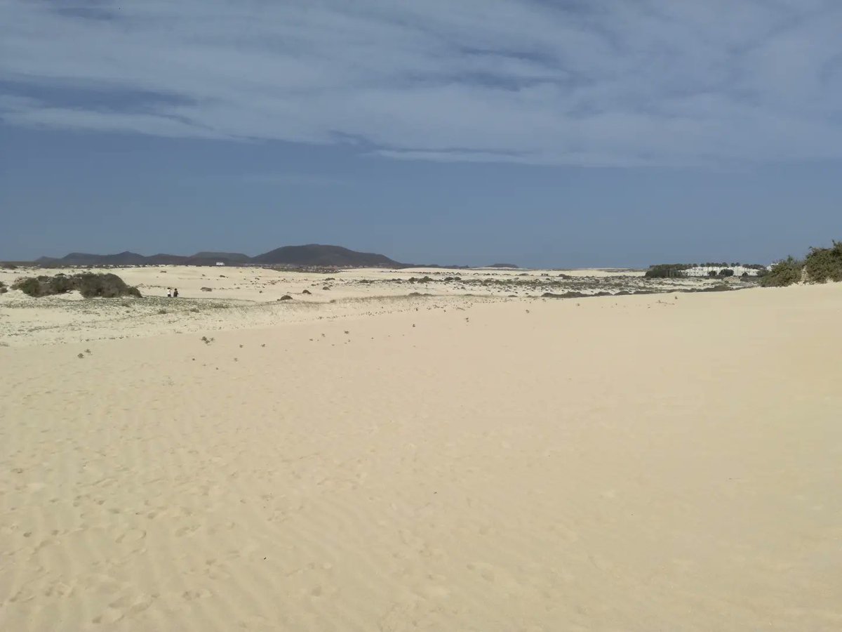 tripodedeviaje's tweet image. Si tenéis tiempo en vuestra visita a Lanzarote hacer una excursión a Fuerteventura es una buena opción,nosotros pasamos el día en las Dunas de Corralejo disfrutando de su magnífica playa
#corralejo #dunasdecorralejo #laoliva #parquenaturaldecorralejo #dunas #fuerteventura