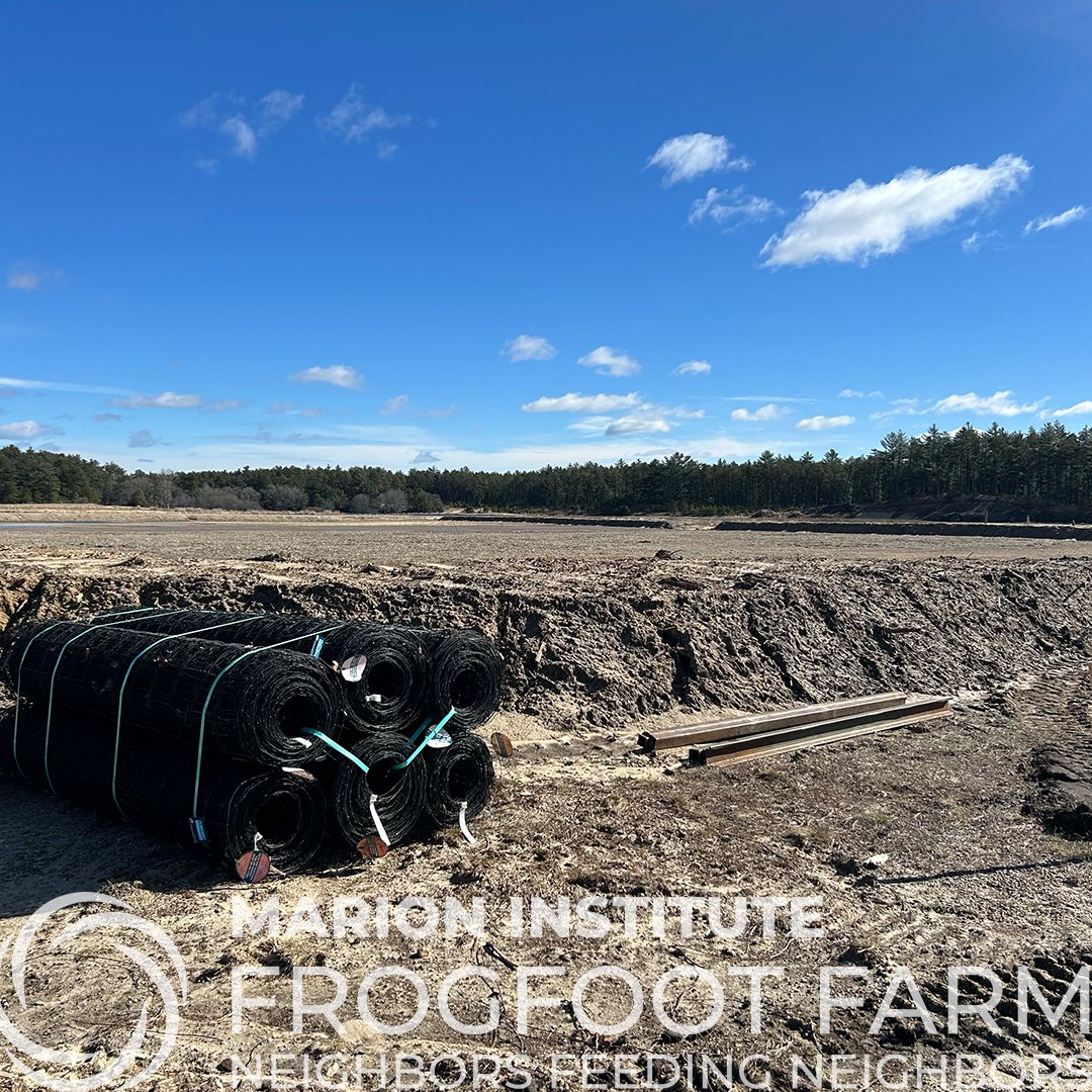 MarionInstitute's tweet photo. NEWS UPDATE ON THE FARM! Perimeter fencing is being installed around the growing areas of Marion Institute's newest program, Frogfoot Farm, Neighbors Feeding Neighbors! – a partnership with A.D.Makepeace Co. in Wareham, MA. This will allow protection for tender crops. https://t.co/RRzenOat8w
