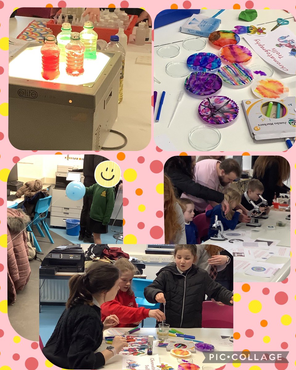 Braes Biology tweet media