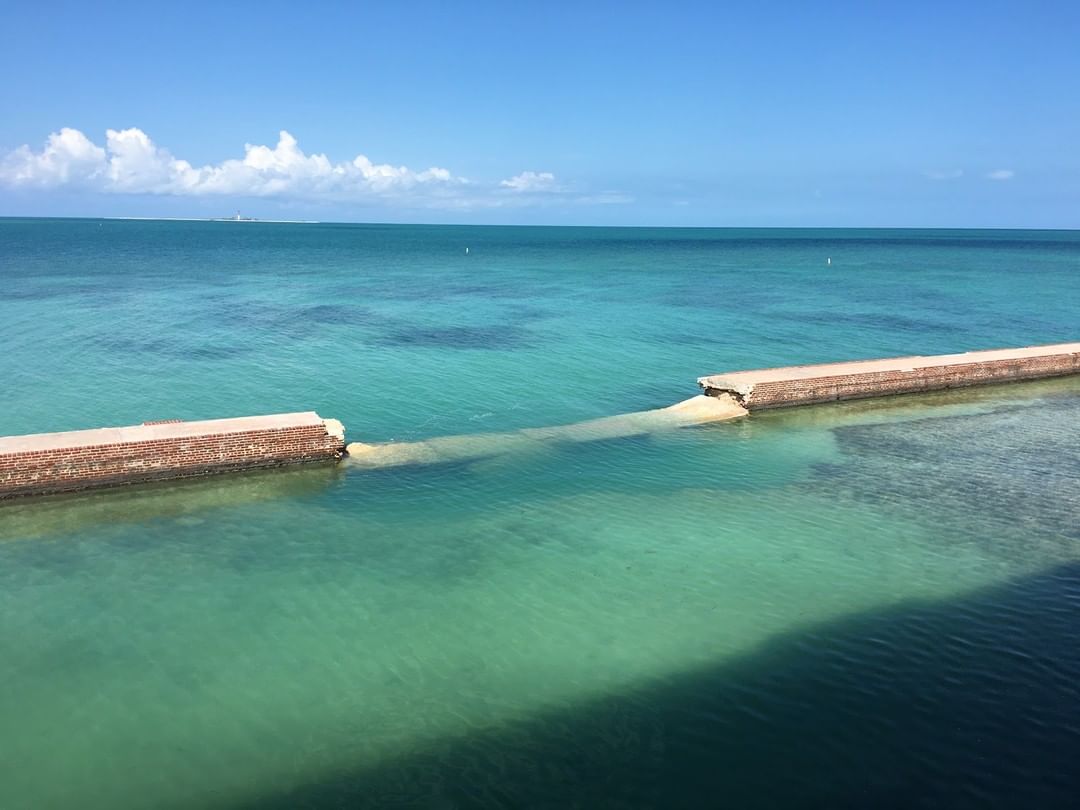 DryTortugasNPS tweet picture