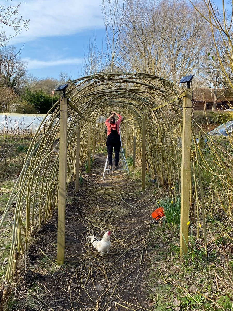 Bedales Prep ODW tweet media