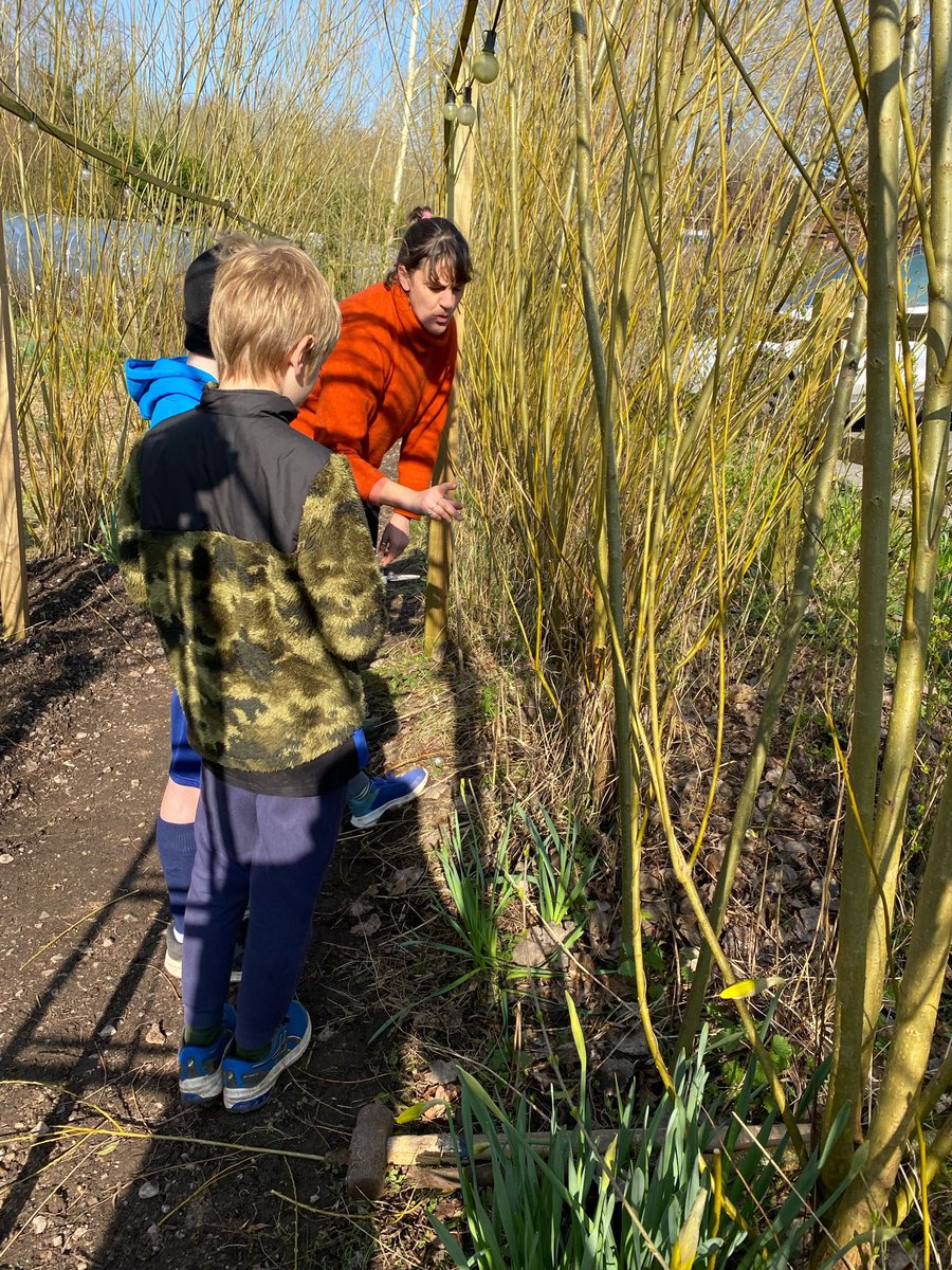 Bedales Prep ODW tweet media