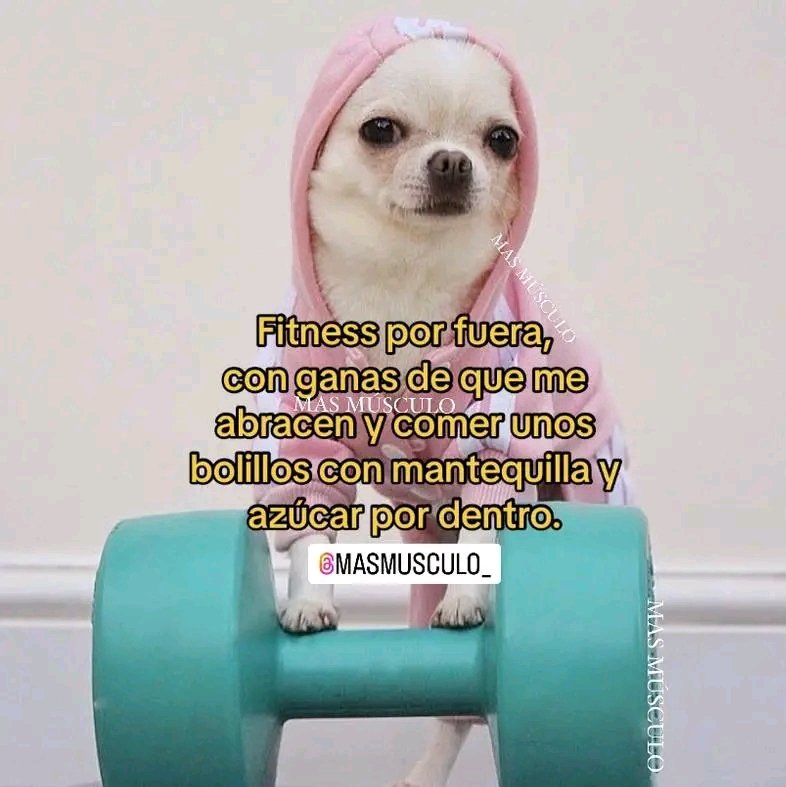 _____val_'s tweet photo. Eso medio soy. https://t.co/GHWG5Reupi
