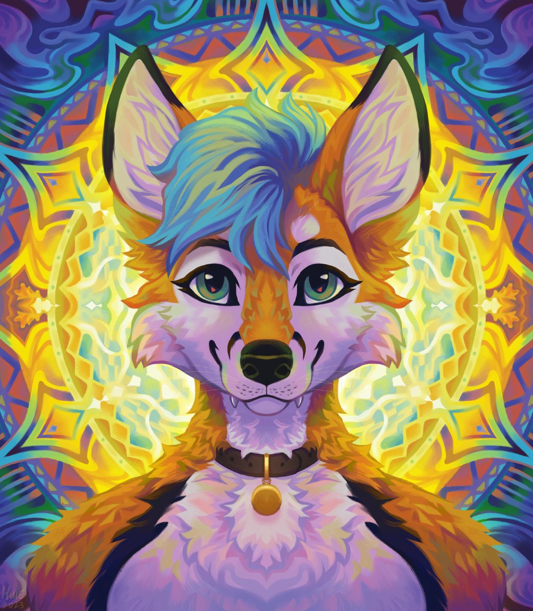 ArtofHuie's tweet photo. ✨☀🦊☀✨ https://t.co/JYoP8BlHRF