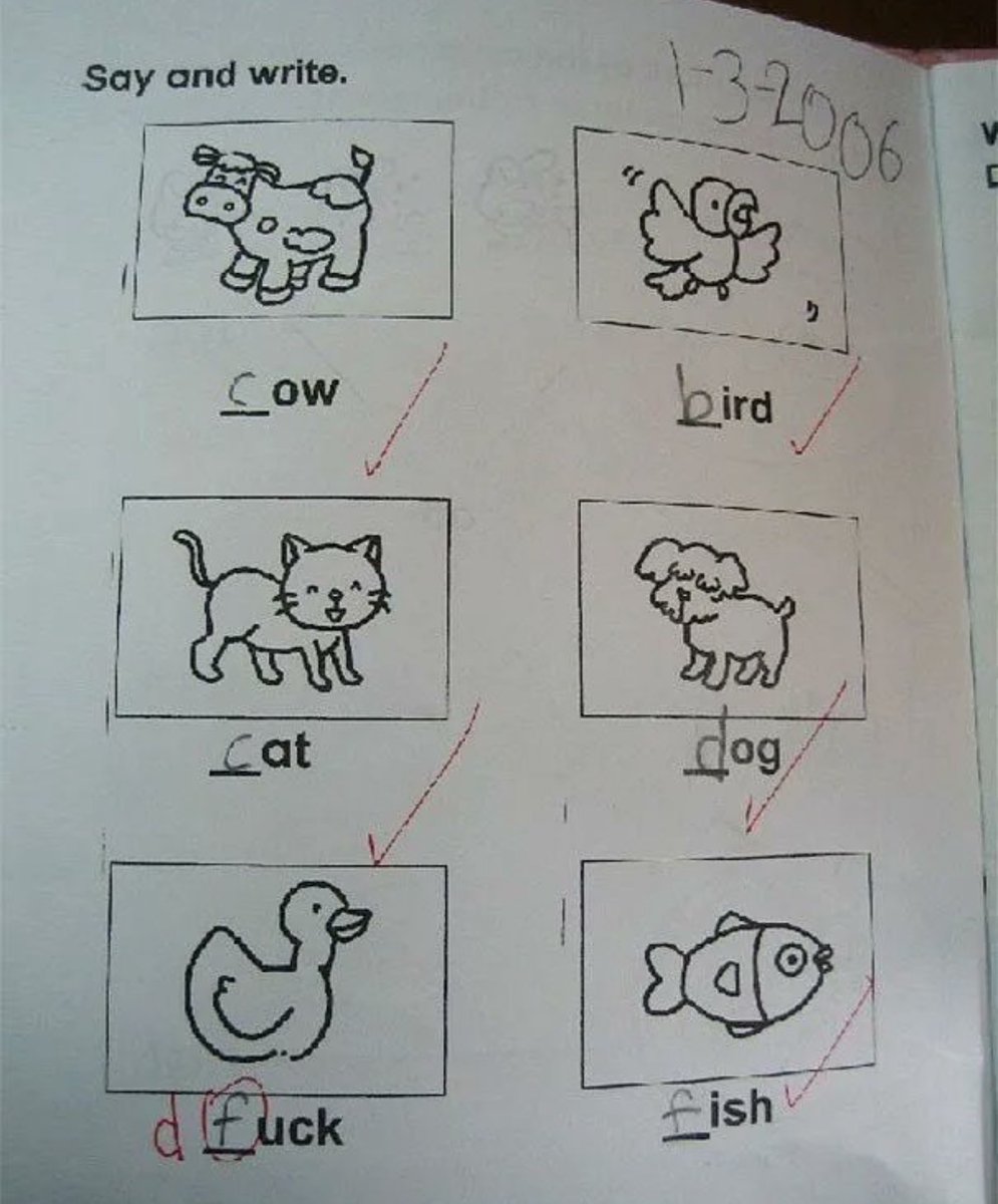 Out of Context Human Race (@nocontexthumans) on Twitter photo 