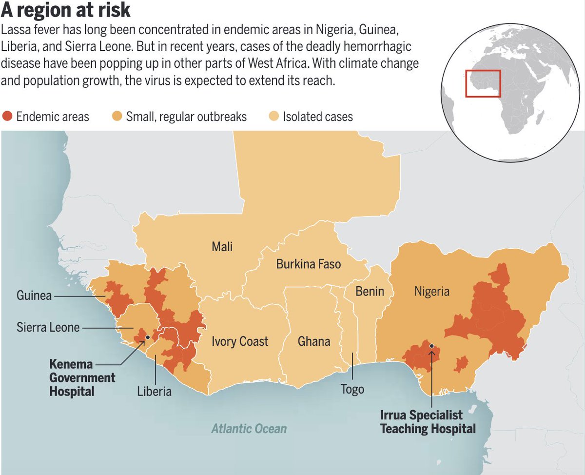 ScienceMagazine's tweet photo. Long neglected, Lassa fever is surging in West Africa. Researchers want to know why.

Learn more in this @NewsfromScience feature: https://t.co/jVjOImPL5I https://t.co/xWVRyQtus9