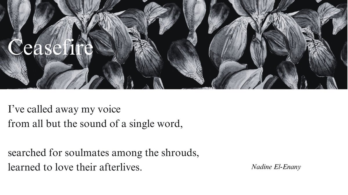 How do we write about the world right now? Like this. An extraordinary poem by @NadineElEnany Read here: blackirispoetry.com/ceasefire #ceasefire #poetrytwitter