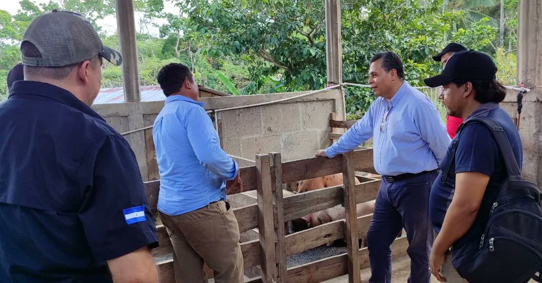 MinEmpren's tweet photo. 📍 El Ministerio de Encomia Familiar  impulsa la innovación productiva en Zelaya Central, fomentando el desarrollo económico. 

En este sentido el Cro. José Benito Aragón Viceministro del MEFCCA, visitó al protagonista Raúl Fonseca quien se dedica al rubro de la porcinocultura. https://t.co/JDBvqhVQaY