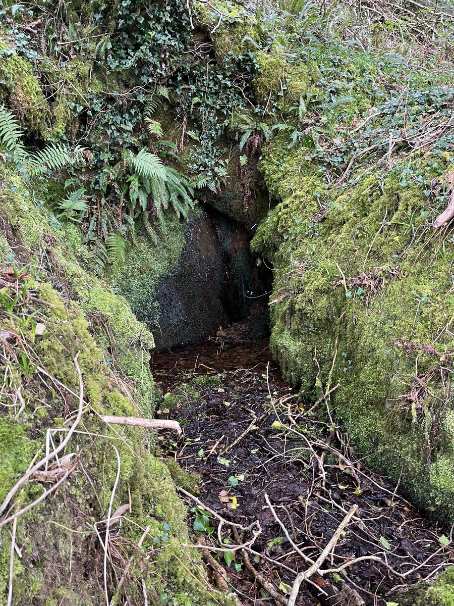 #MondayMusicQuiz ⁦<a href="/Melonhead999/">George Bernard Shaw</a>⁩ they bastas drowneded me in Holy Well today to cleanse my soul