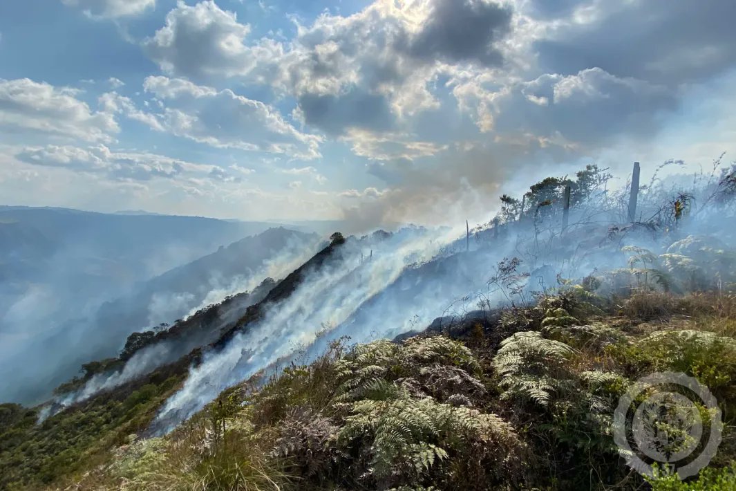 BoyacaLEinforma's tweet image. 🚨 #ControlDeIncendio
Desde el medio día de este domingo 10 de marzo, unidades bomberiles y dos máquinas hicieron presencia y control de un fuerte incendio forestal que se presentó en montaña que limita con los municipios de Boyacá, Soracá y Tunja.