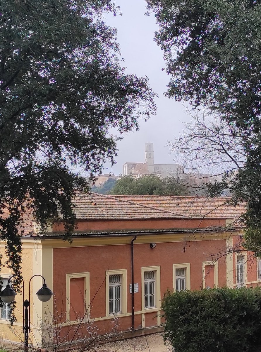 morenorellini's tweet photo. Dal parco Santa Margherita https://t.co/aPKnPk9k8O