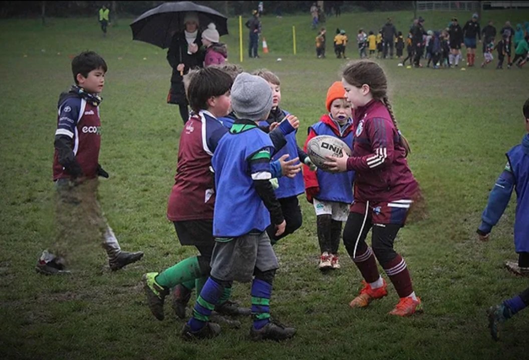 Stillorgan-Rathfarnham RFC tweet media