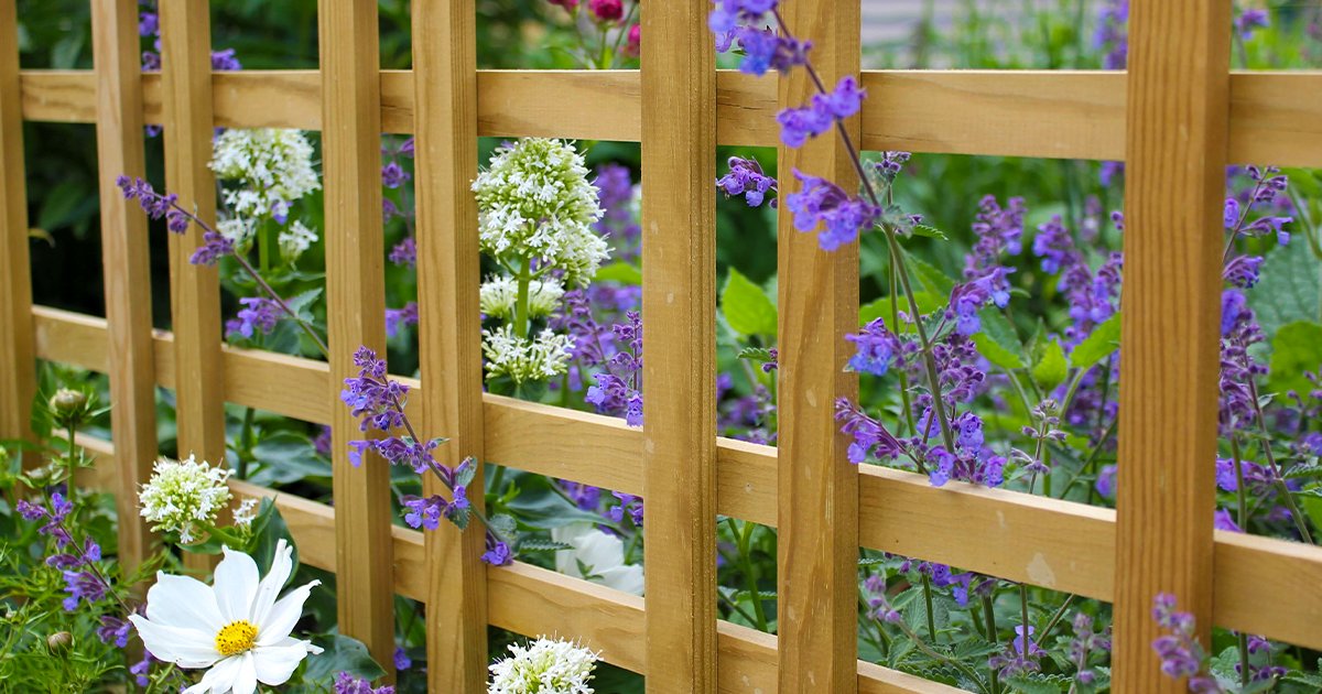 It's never too early to start thinking about refreshing your garden or outdoor space; beat the spring rush by considering new fencing today - jacksons-fencing.co.uk/fencing/type/f… #spring #blooms #fence #getreadyforsummer