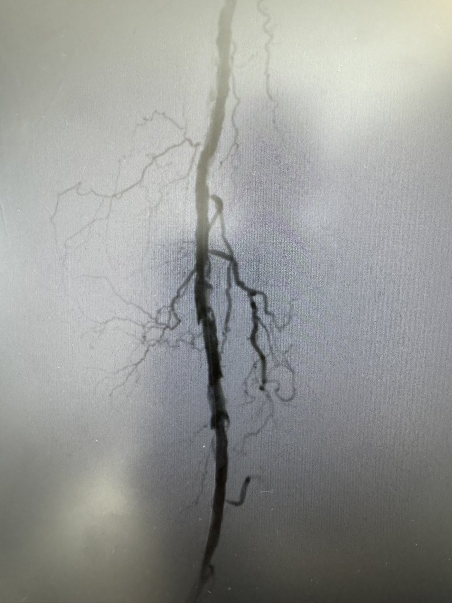 Richard Markiewicz MD tweet media