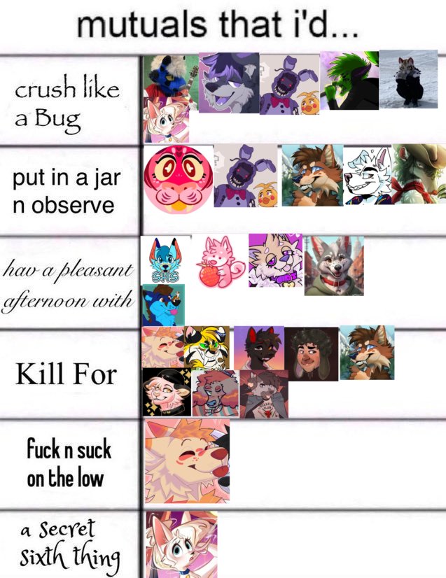 🐾❄Flake Wusky❄🐾 tweet media