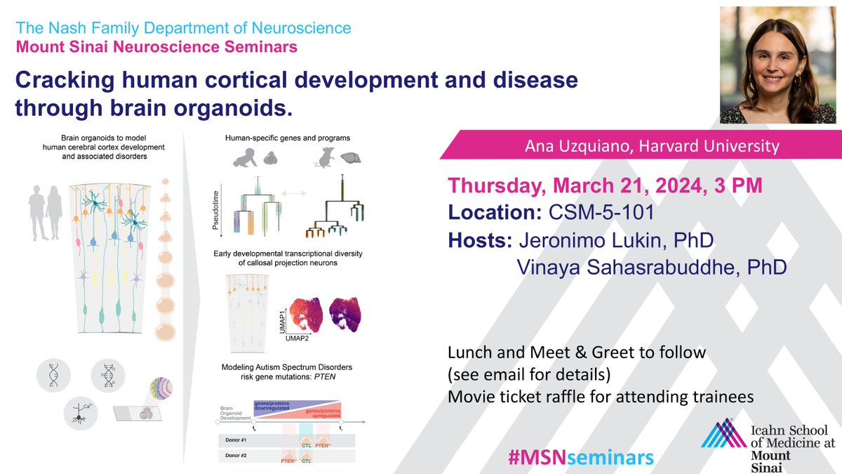 SinaiBrain's tweet photo. Please JOIN #MSNSeminars &amp; @Harvard's Dr. Ana Uzquiano (@uzquiano_a) when she presents "Cracking Human Cortical Development &amp; Disease through #BrainOrganoids" on Thurs, March 21st at 3pm. Hosts: @Jer0nimoLukin &amp; Vinaya Sahasrabuddhe (@Vinaya____). JOIN US! https://t.co/sLDOc3BbJR