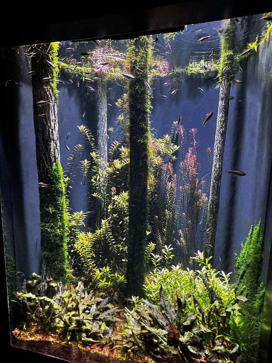 Amandaisout's tweet photo. Some photos from the Aquarium. https://t.co/WQbOxTLtfk