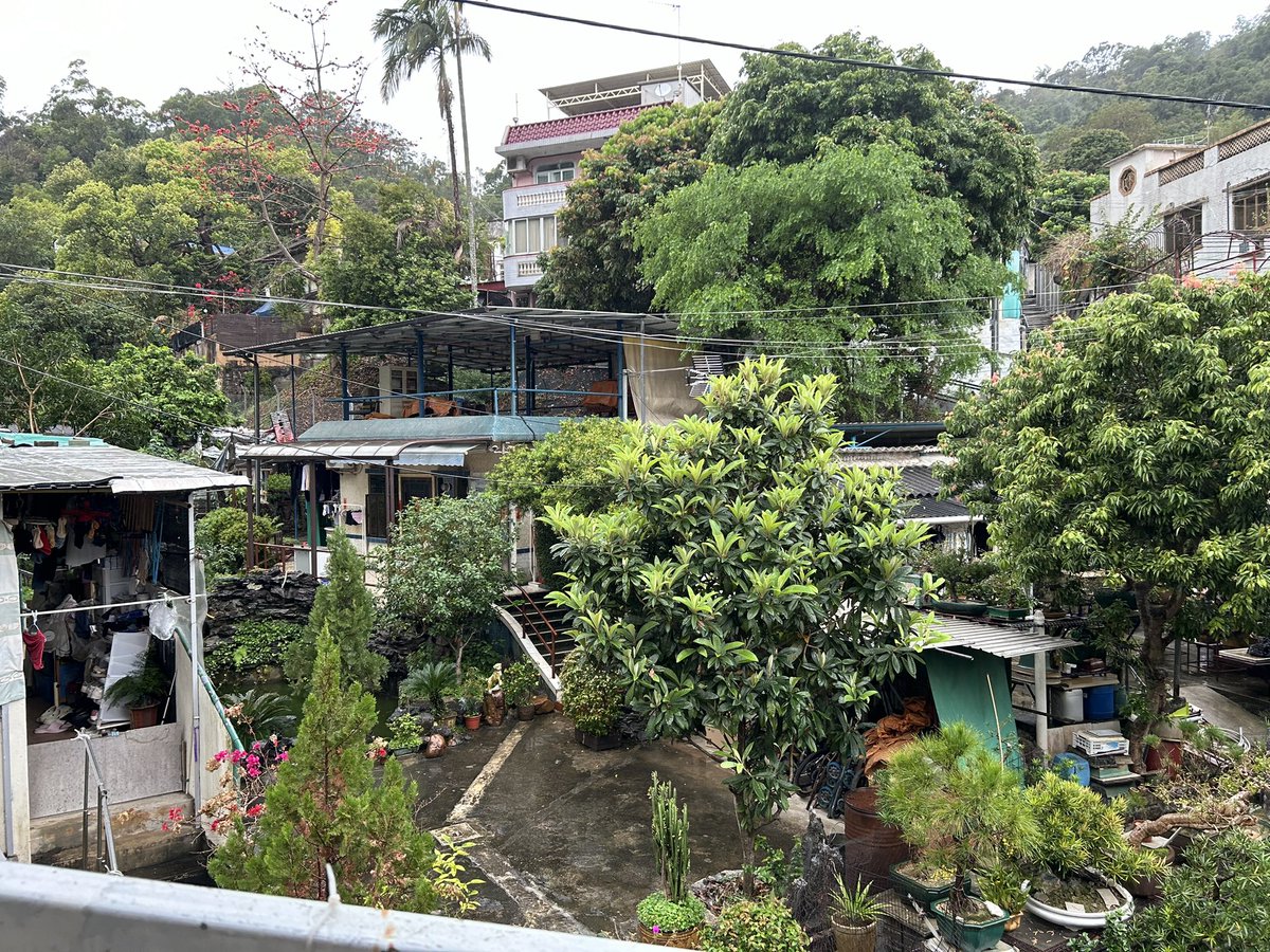 UoSPGCEEYT's tweet photo. A busy day yesterday where every school believed we had brought the rain with us from the UK. From local schools in Sha Tin and beyond in the morning to the amazing Discovery Bay on Lantau Island on the afternoon. Some wonderful teaching, even with the rain☔️ #distancenotdistant https://t.co/XpgklBjqgQ