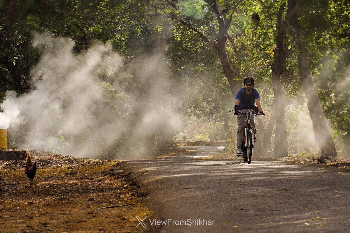 Share the joy of cycling in a photo from your gallery! 🚴 

(📷: from SGNP, Mumbai - 2014)