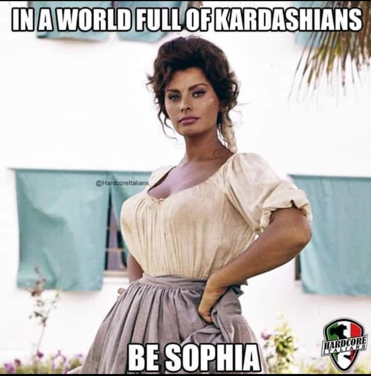 Stacey Livote tweet media