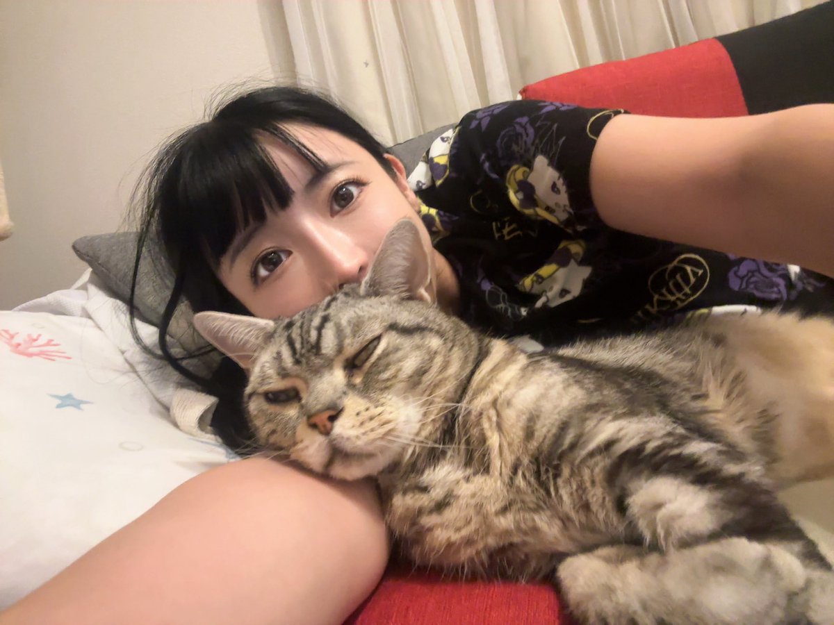 3月9日土曜日の夜
愛猫が14歳で虹の橋へと旅立ちました。

今はやっと、病気の苦しみや痛みから解放されて楽になってくれてるんかな。
今生で、楽にしてあげられなくてごめんね。

「ねこと一緒に暮らす。
アメリカンショートヘアを家族に迎えたい」
という、小さい頃からの夢を叶えてくれてありがとう。

虹の橋で
元気に過ごしてて欲しいな。

大好きな愛猫にまた会いたいなぁ。