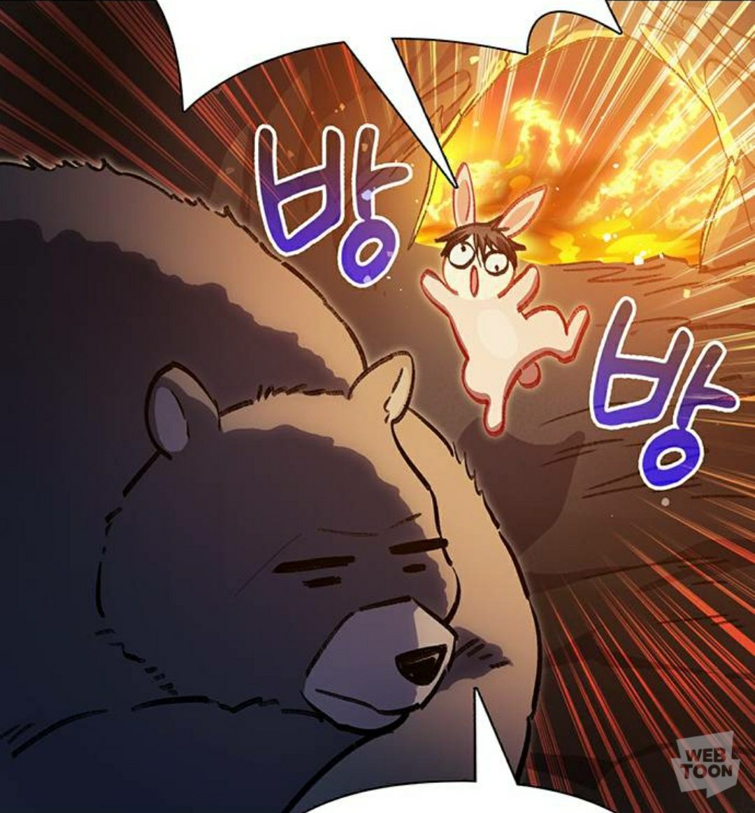 충격실화 곰태원 토끼윶실존