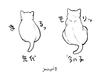 先代と比べて体格が明らかに違うんだよね… 