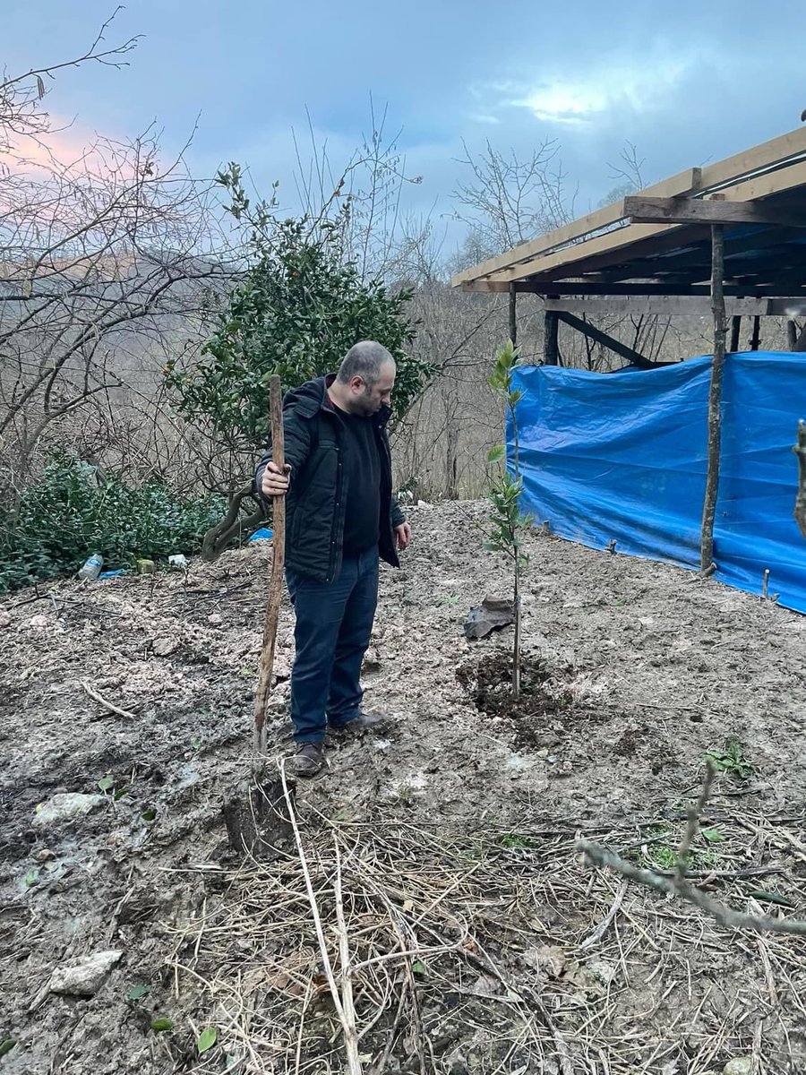 Fatih Çolak tweet media