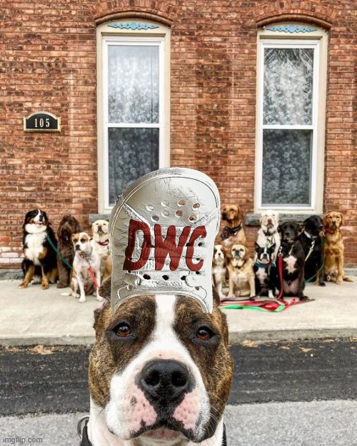 dogwifcrocs's tweet photo. 2400 holders.

The Dog's pack is growing.      $DWC https://t.co/XZOw5KN4Od