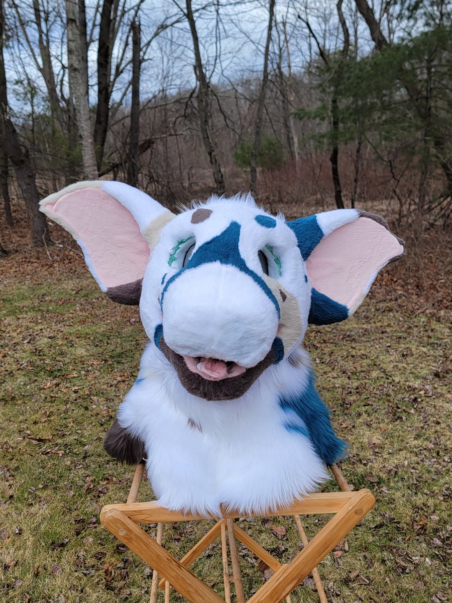 Yet 𝘼𝙣𝙤𝙩𝙝𝙚𝙧 eyeless premade done! I've been wanting to make an oriental shorthair for SO long!

~~~~~~~
[Tags plz ignore]
#fursuitmaker #fursuitmaking #fursuitforsale #fursuitcommissions #fursuits #furrycommission #furry #fullsuit #fursuit #premadefursuit #premadeforsale