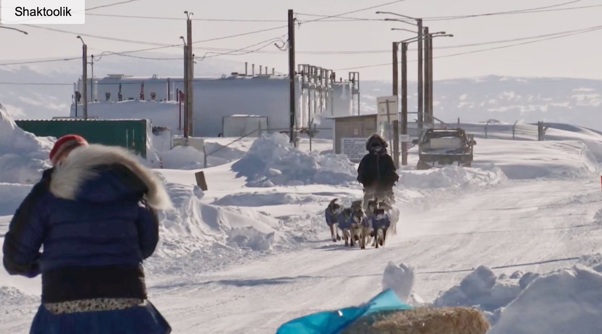 FionaWonderCat's tweet photo. #NicPetit has checked in to Shaktoolik! 
#Iditarod51 #MusherTwitter @alaskadogstead https://t.co/BwApMNtyKs